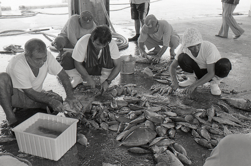 21-334-0005 21-334-0005