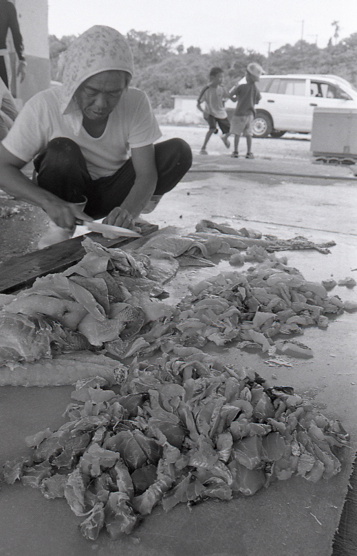 21-386-0001 21-386-0001