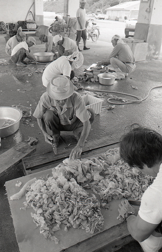 21-386-0004 21-386-0004