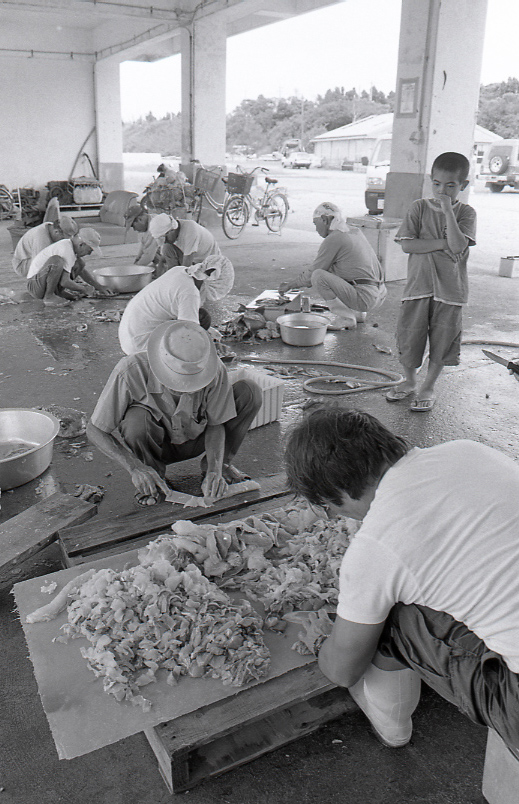 21-386-0005 21-386-0005