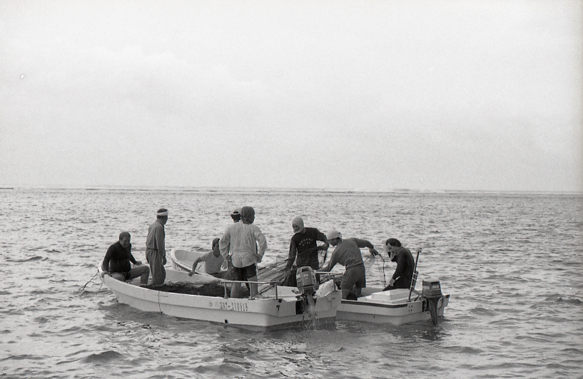 21-388-0003 21-388-0003