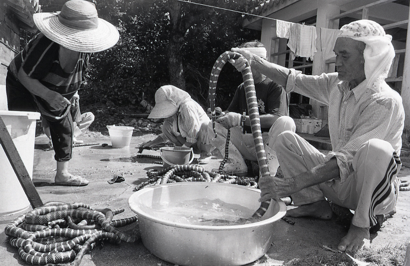 22-139-0002 22-139-0002