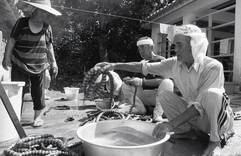 22-139-0003 22-139-0003