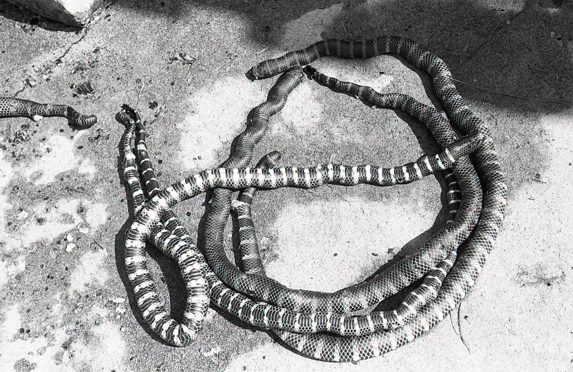 22-139-0005 22-139-0005