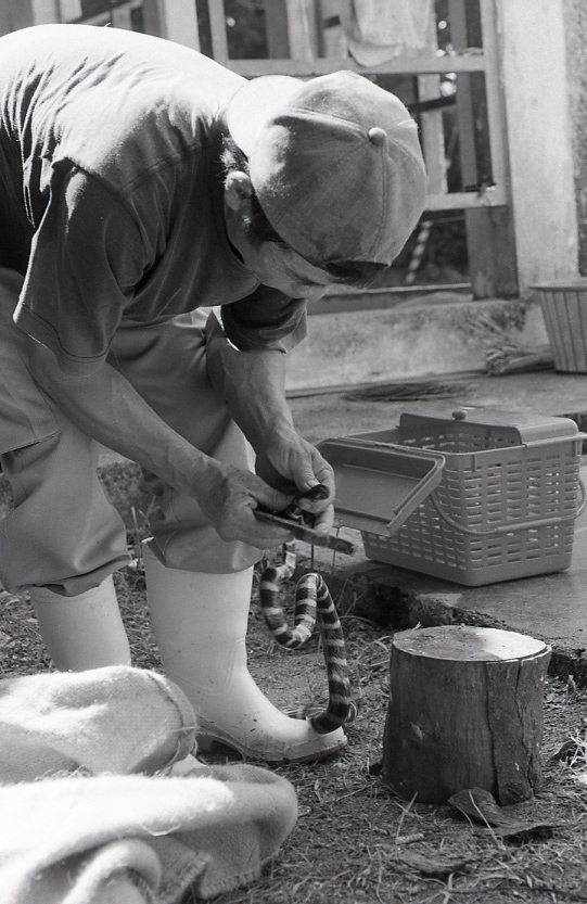 22-139-0006 22-139-0006