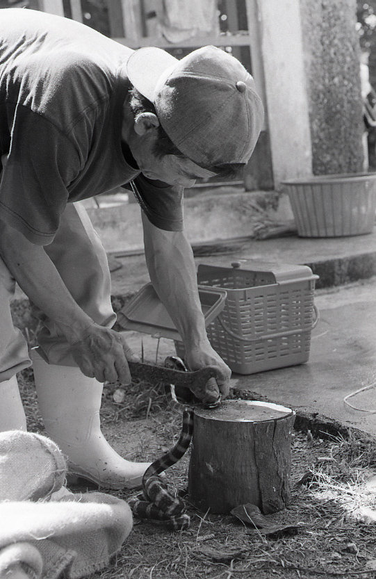 22-139-0007 22-139-0007