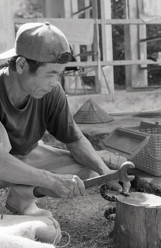 22-139-0008 22-139-0008