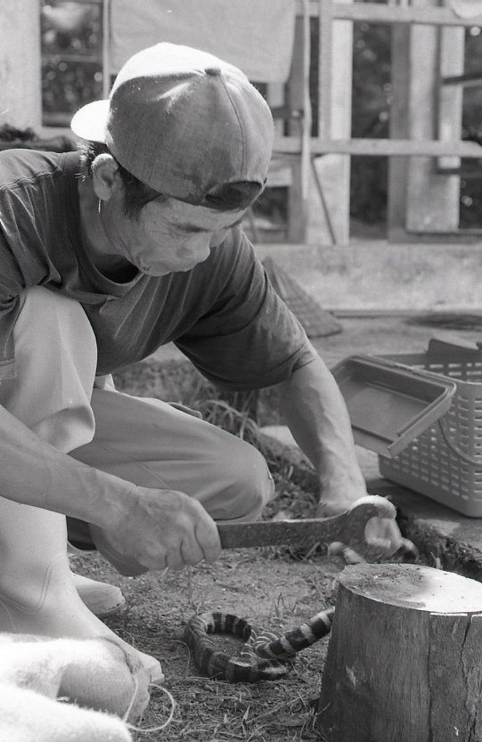 22-139-0011 22-139-0011