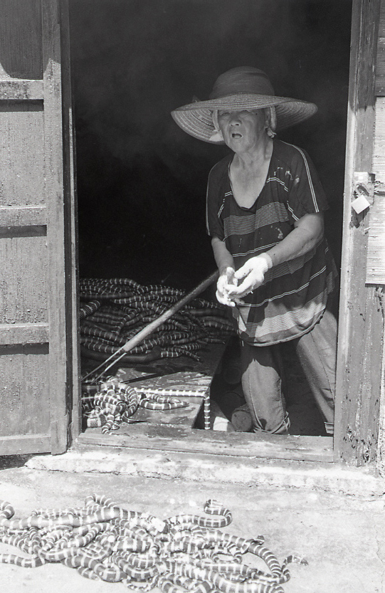 22-139-0012 22-139-0012