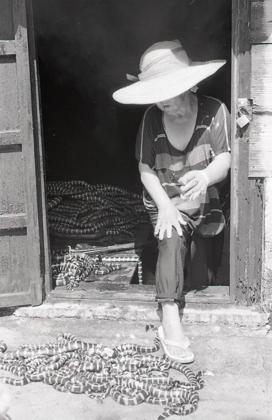 22-139-0013 22-139-0013