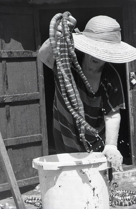 22-139-0014 22-139-0014