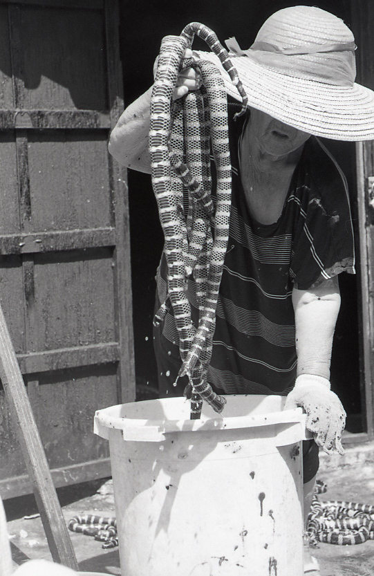 22-139-0015 22-139-0015