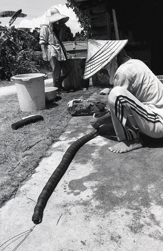 22-139-0033 22-139-0033