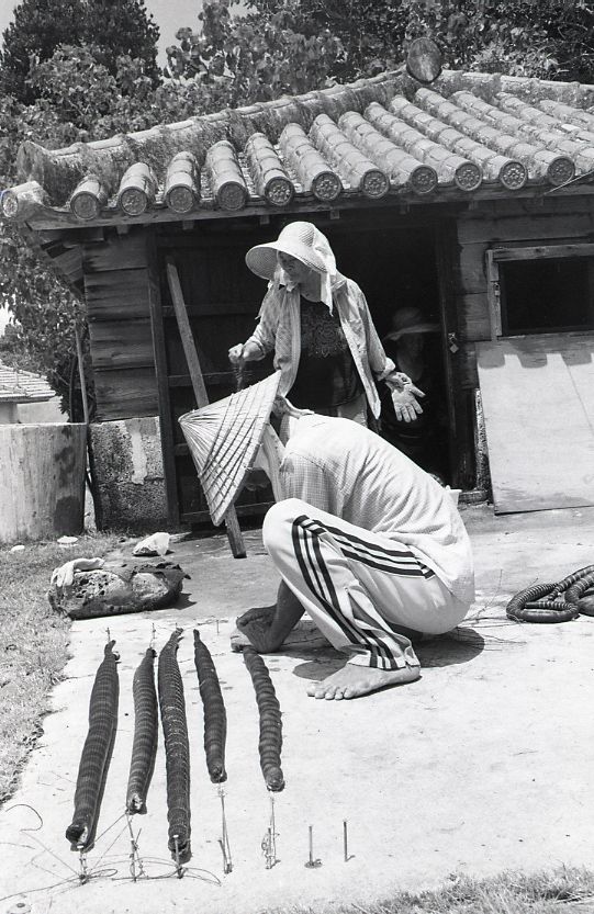 22-139-0036 22-139-0036