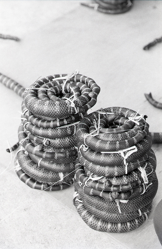 22-140-0031 22-140-0031