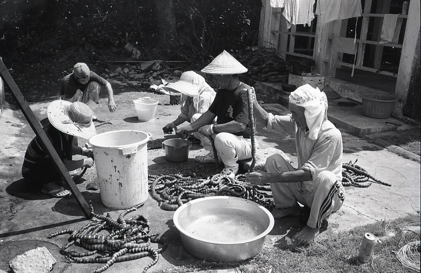 22-141-0001 22-141-0001