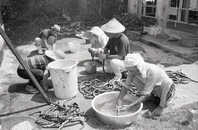 22-141-0002 22-141-0002