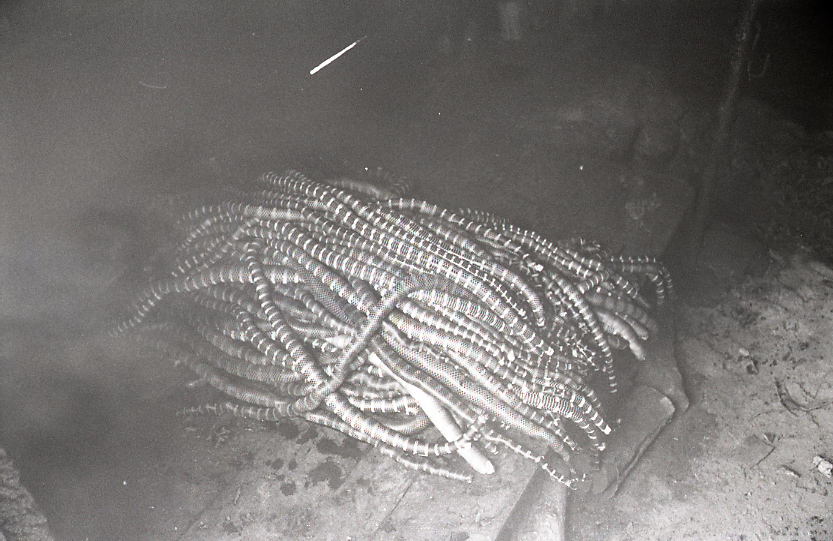 22-141-0003 22-141-0003