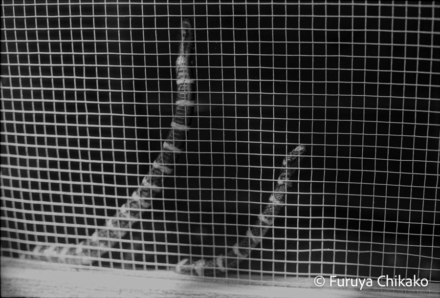 22-142-0001 22-142-0001