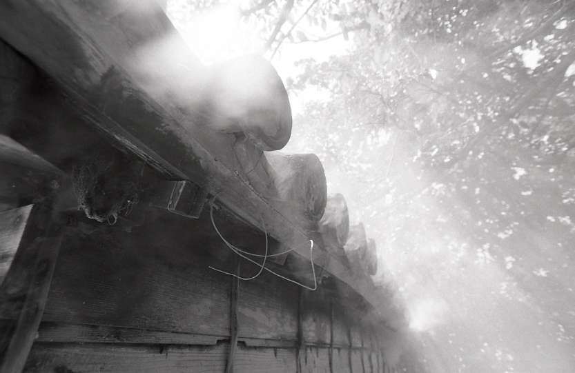 22-142-0028 22-142-0028