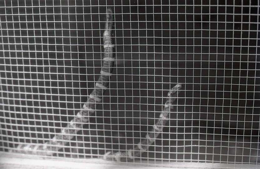 22-142-0037 22-142-0037