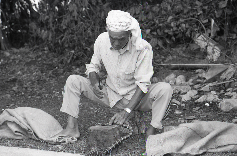 22-151-0008 22-151-0008