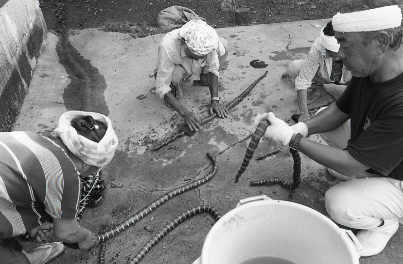 22-151-0009 22-151-0009