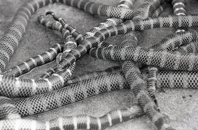 22-151-0012 22-151-0012