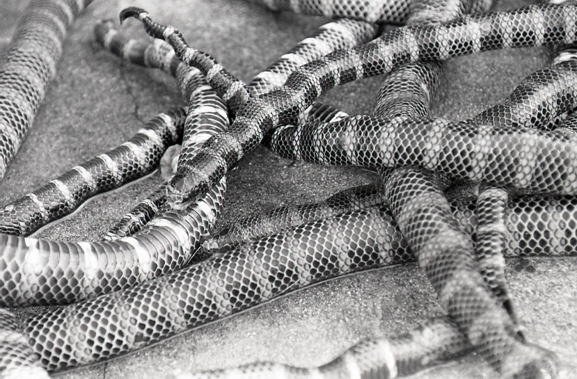 22-151-0013 22-151-0013