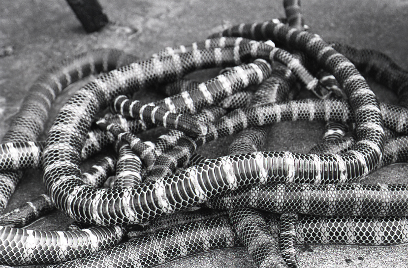 22-151-0016 22-151-0016