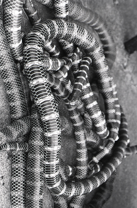 22-151-0017 22-151-0017