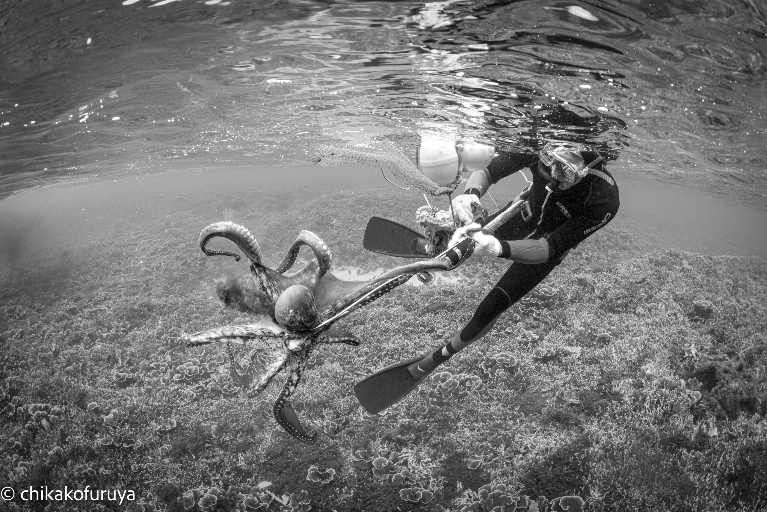 a01-A2-DSC_9082 a01-A2-DSC_9082